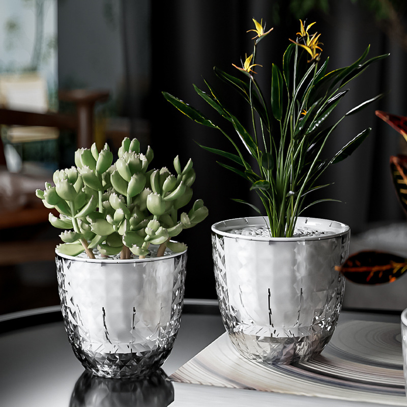 Aloe Vera Pot - زارع كسول بلاستيكي شفاف للفجل الأخضر،