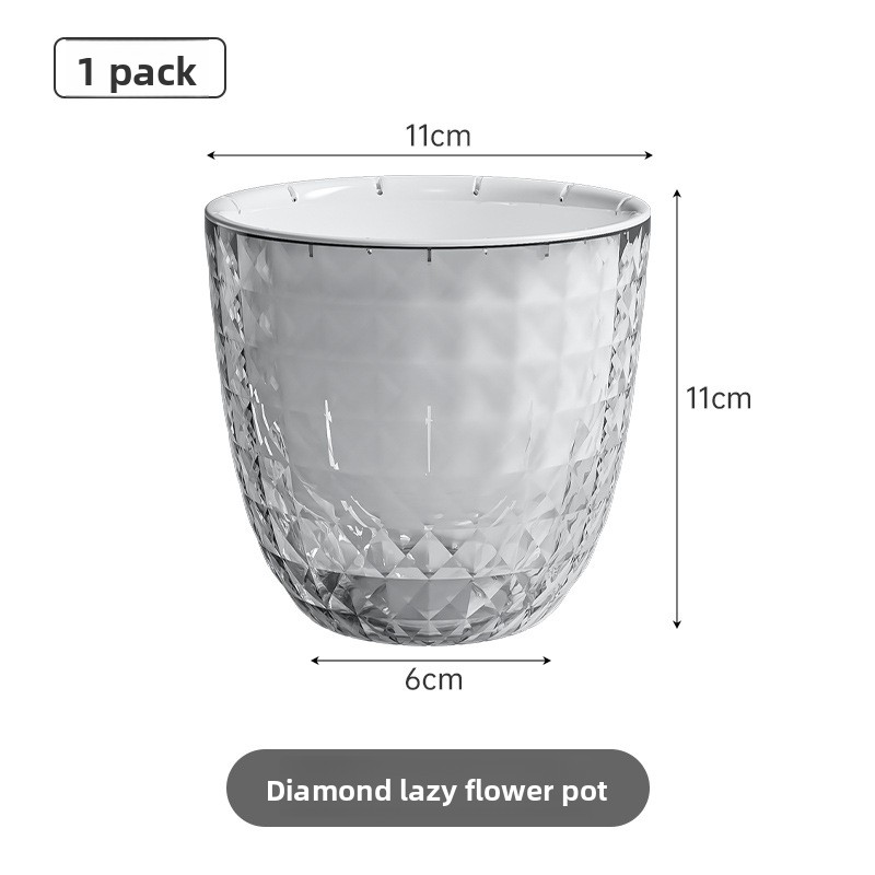 زارع كسول بلاستيكي شفاف للفجل  - مراجعة Aloe Vera Pot وسعره