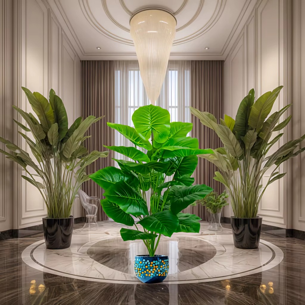 قطعة واحدة من شجرة النخيل الاص - مراجعة Monstera Adansonii وسعره