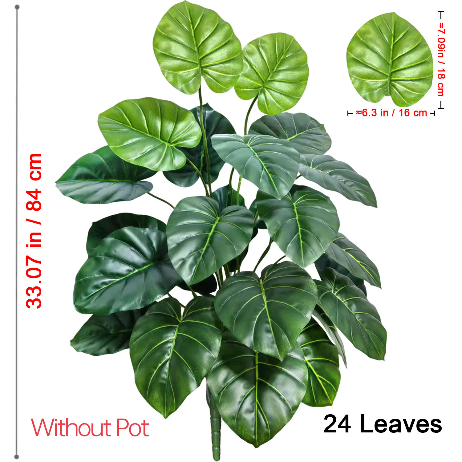 قطعة واحدة من شجرة النخيل الاص - مراجعة Monstera Adansonii وسعره