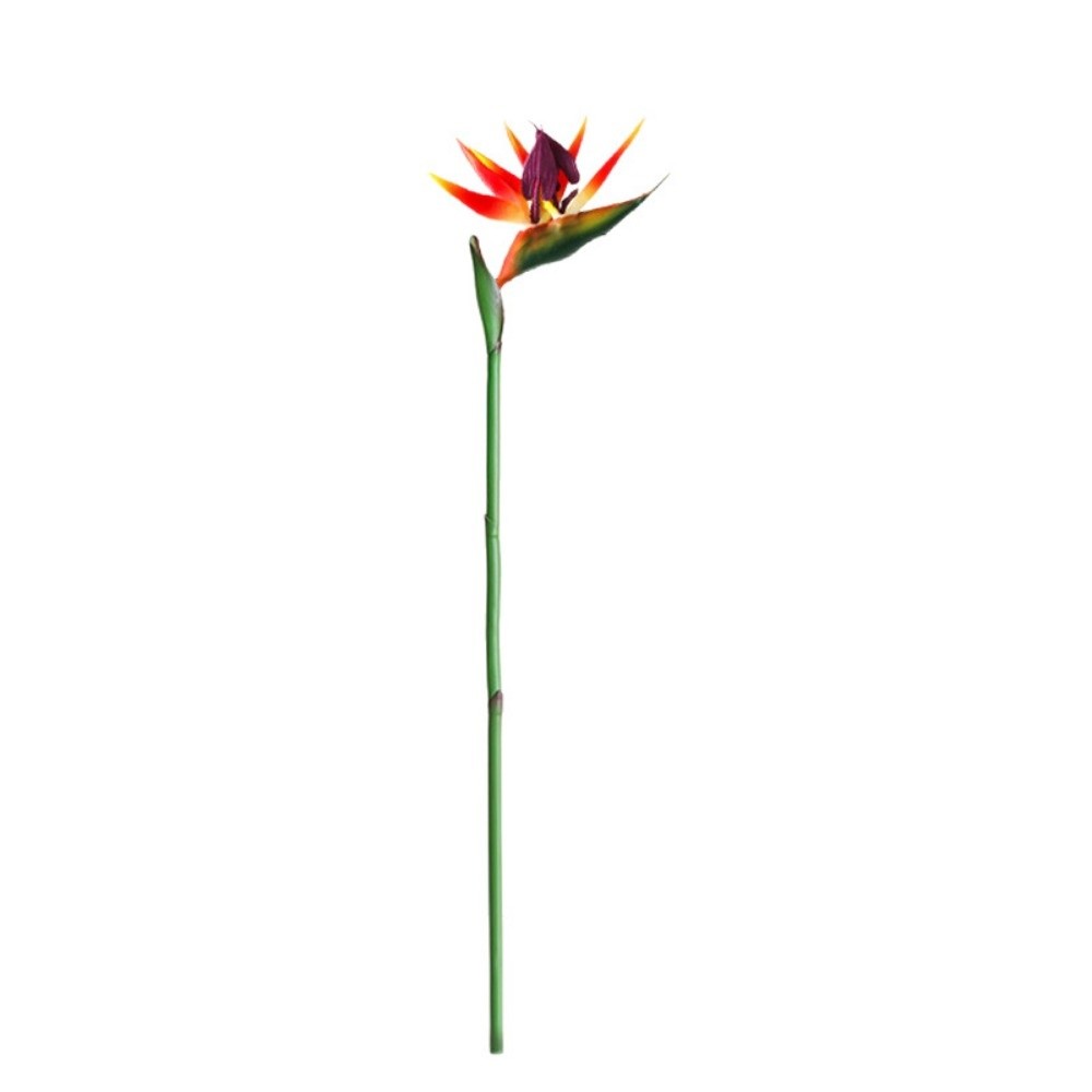 زهور ستريليزيا اصطناعية طويلة  - مراجعة Bird Paradise Strelitzia وسعره