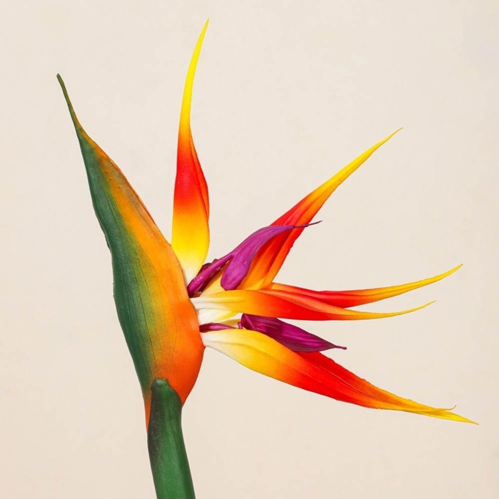 زهور ستريليزيا اصطناعية طويلة  - مراجعة Bird Paradise Strelitzia وسعره