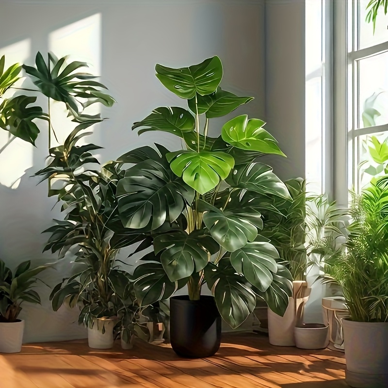 شجرة نخيل مونستيرا اصطناعية وا - مراجعة Monstera Adansonii وسعره