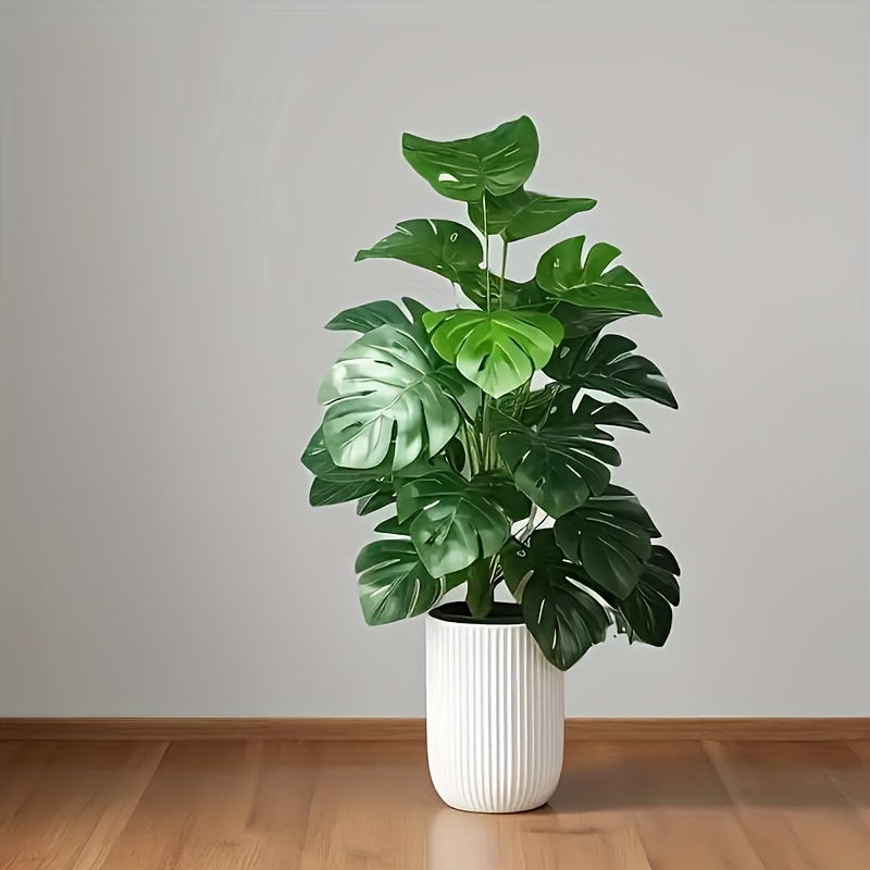 شجرة نخيل مونستيرا اصطناعية وا - مراجعة Monstera Adansonii وسعره
