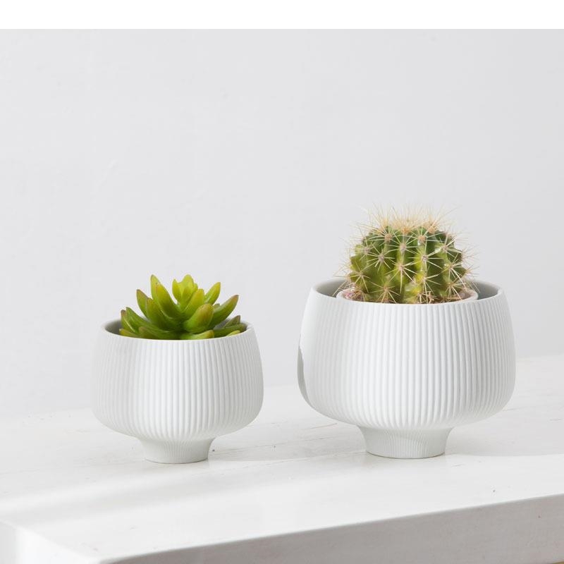 متعدد الألوان المشارب السيرامي - مراجعة Aloe Vera Pot وسعره