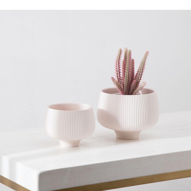متعدد الألوان المشارب السيرامي - مراجعة Aloe Vera Pot وسعره
