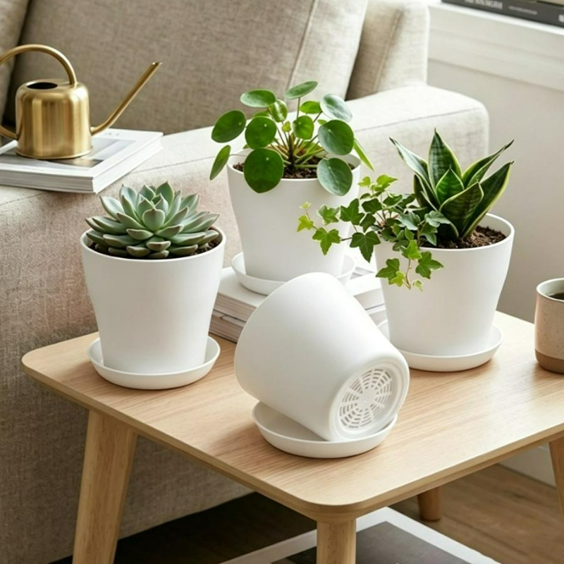 مجموعة أواني نباتات مع فتحات ت - مراجعة Aloe Vera Pot وسعره