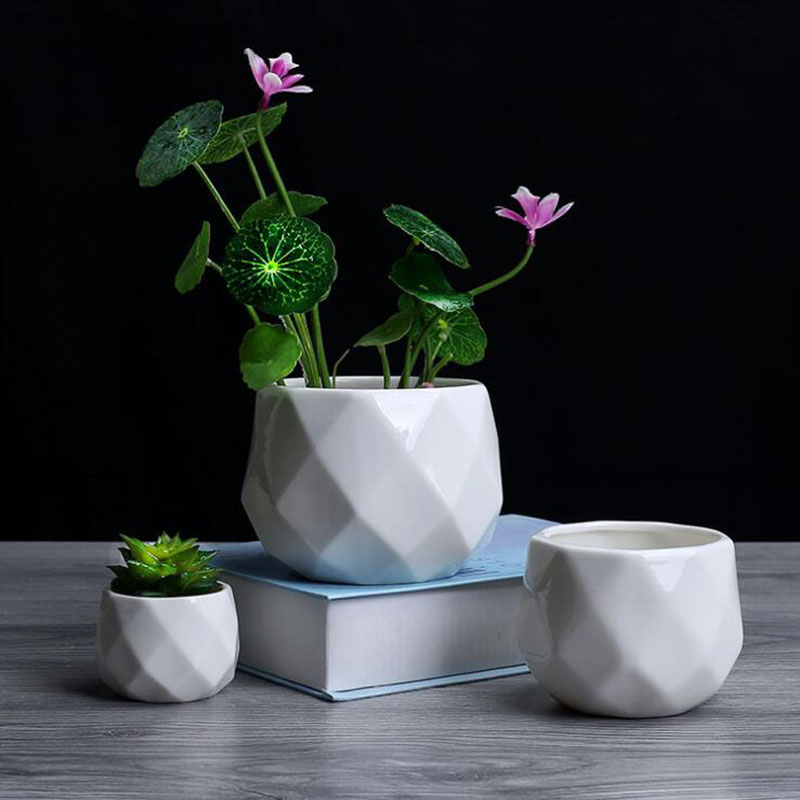 البساطة الأوروبية نمط الأبيض ا - مراجعة Aloe Vera Pot وسعره