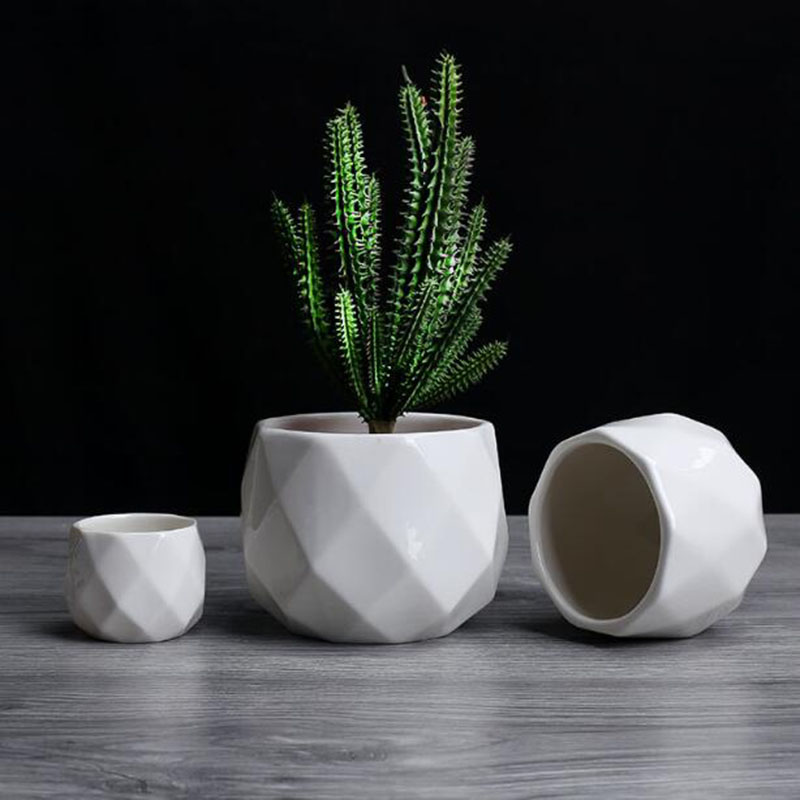 البساطة الأوروبية نمط الأبيض ا - مراجعة Aloe Vera Pot وسعره