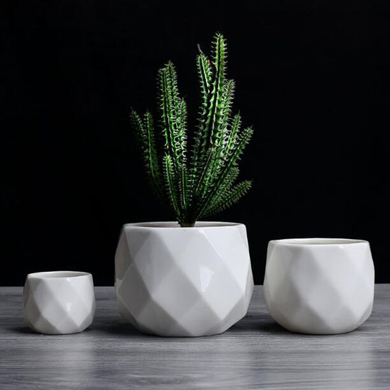 البساطة الأوروبية نمط الأبيض ا - مراجعة Aloe Vera Pot وسعره